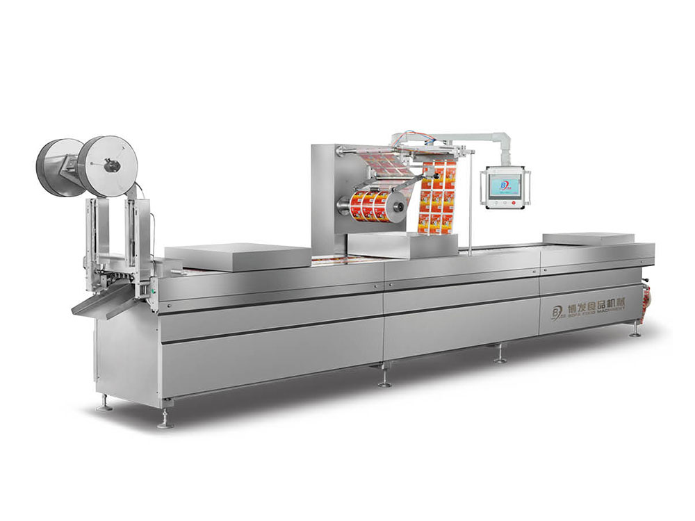 DLZ-420/520 Computer Automatic Continuous Stretching Vacuum Packaging Machine